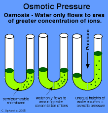 osmotic pressure