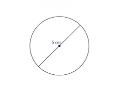 Find the circumfrence of this circle. Use 3.14 for π