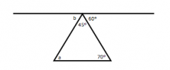 Write and solve an equation to find the measure of angle b.