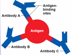 antibody generator

large complex molecules that are the ultimate targets of all adaptive immune responses

not normally in the body

intruders
