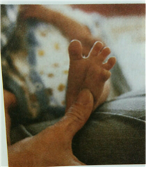 신생아의 발바닥을 발꿈치에서 발바닥 쪽으로 간지이면 엄지발가락을 구부리는 반면, 다른 네 개의 발바닥은 부채처럼 쫙 퍼지는 (              )반응을 보인다.