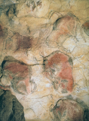 Bison, detail of a painted ceiling in the cave at Altamira, Spain,
ca. 12,000–11,000 BCE. Each bison 5 long.