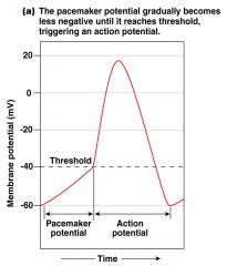 Where are the neural/hormonal effects in the graph for a pacemaker cell?