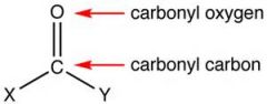 A carbon linked by a double bond to an oxygen atom
