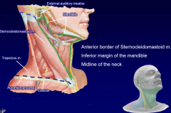 anterior border of sternocleidomastoid muscle
inferior margin of mandible
midline of neck