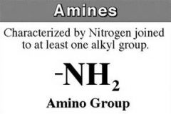 composed of a nitrogen bonded to two hydrogen atoms and the

carbon skeleton
