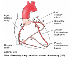 For sites 1-3; 85% of occlusions occur there
