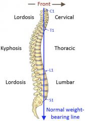 Sagittal vertical axis offset, or sagittal imbalance, is determined by measuring the distance from the C7 plumb line (dropped from the center of the C7 vertebral body) to the posterior-superior corner of the S1 vertebral body.