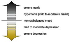 - bipolar disorder type I (manic depression)
- bipolar disorder type II (hypomania)
- cyclothymia