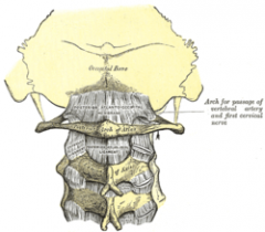 posterior atlanto-occipital membrane
