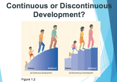 Continuous - a process of gradual adding more of the same types of skills that were there to begin with


Discontinuous - a process in which new ways of understanding and responding to the world emerge at specific times