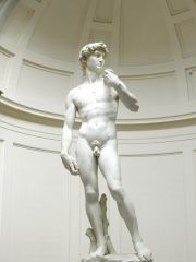 The naturalistic shape of an object where it appears more balanced.

Example: "David" by Michelangelo