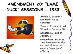 Amendment XX (20)