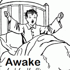 a. w. a. k. e. awake. awoke. awoken.