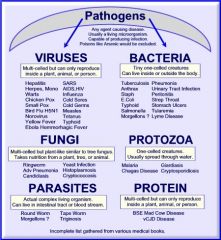 Harmful Microbes :

Hep B, Measles, Malaria, Tuberculosis, Dysentery, Aids, Pneumonia, Influenza, Tetanus 