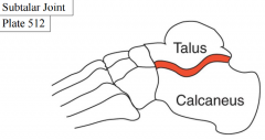 formed by the articulation of the talus with the calcaneus