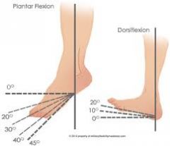 has 1 degree of freedom: dorsiflexion & plantar flexion occur in the sagittal plane