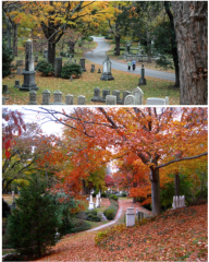 Mount Auburn
Cemetery
Cambridge, Massachusetts

