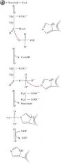 succinyl-CoA- high energy
hydrolysis drive P of GDP= GTP
has phosphohistidine
make succinate!!