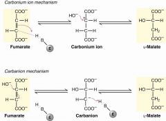 trans-hydration
carbonium or carbanion