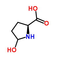 Hyp


 


OH group used to form H-bond cross links between collagen strands


 


Enzyme proline hydroxylase adds -OH group to proline side chain in pro-collagen protein


 


Thus no CODON for Hyp since it can only be made by the...