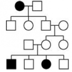 What type of inheritance
is this?1 
A) Autosomal recessive
B) Autosomal dominant
C) X-linked recessive 
D) X-linked dominant 
E) None of these