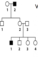 What type of inheritance
is this? 
 A) Autosomal recessive 
B) Autosomal dominant 
C) X-linked recessive 
D) X-linked dominant 
E) None of these