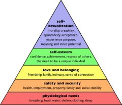 MASLOW HIERARCHY OF NEEDS ?