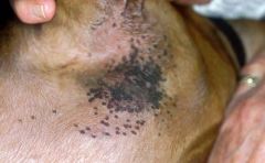 a circumscribed, non palpable spot, which is change in the colour of the skin. (< 1cm) if > than 1cm it is called a patch.

http://www.rvc.ac.uk/review/Dermatology/Lesions/macules.htm
