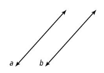 Line a and line b are parallel. 