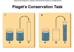 U9 Dev Psych     



The principle (which Piaget believed to be a part of concrete operational reasoning) that properties such as mass, volume, and number remain the same despite changes in the forms of objects.