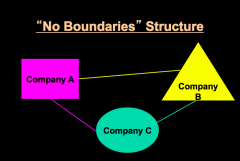 A boundaryless organizational structure enables an orga- nization to form relationships with customers, suppliers, and/or competitors, either to pool organizational resources for mutual benefit or to encourage cooperation in an uncertain envi- ron...