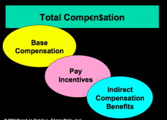1. base compensation: fixed pay an employee receives on a regular basis
2. pay incentives: programs designed to reward employees for good performance
3. indirect compensation benefits: health insurance, vacation, unemployment comp