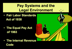 compensation pay systems must be developed with the legal framework in mind. (e.g. how many earnings people can keep and how benefits are treated for tax purposes, etc)