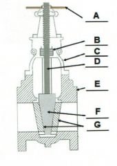 Identify the typical components of a valve.
 B.