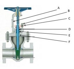 Identify the yoke, gland follower, packing gland, gland nuts, stuffing box, and packing:

A.