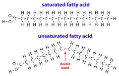  A form of fatty acid that lacks unsaturated  linkages between 
carbon atoms.
  The name accounts for the inability of this fatty acid to absorb 
  any more hydrogen. Saturated fatty acids are commonly
  found in animal fats.
