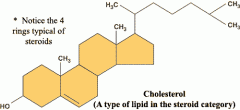  steroids are also a lipid-base hormone which have a characteristicbulky four-ring structure and are VERY hydrophobic, i.e. Cholesterol 
(A component of animal cell plasma membranes
– also a starting point for synthesis of lipid hormones like...