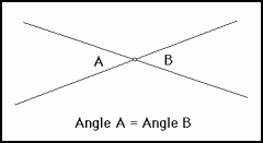 

Vertical angles are across from each other when two lines intersect, and they are always equal 




