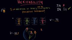 
	
	Heritability is the proportion of observed differences on a trait among individuals of a population that are due to genetic differences. Factors including genetics, environment and random chance can all contribute to the variation between i...