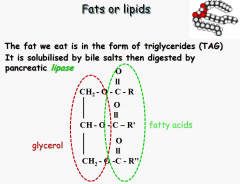 (If gallbladder removed, no store for molecules to break down fats)