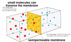 If solution of proteins is separated from bathing solution by a semipermeable membrane, small molecules and ions can pass through the semipermeable membrane to equilibrate between the protein solution and bathing solution 


 


Method is us...