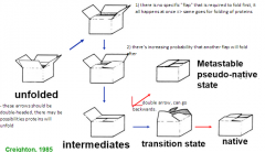 In unfolded state, the "flaps" of the protein are free to move independently


 


entropy is lost during folding because gone from free moving state to a very restricted state (lose free of motion but you're gaining all non-covalent and cov...