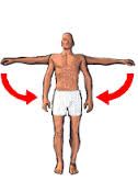 Movement of the limb or part of the limb back towards the mid line of the body.