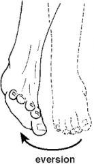The movement of the sole of your foot outside or outwards.