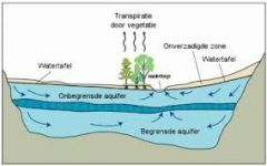 An underground formation that contains groundwater.
