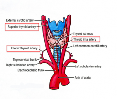 - Superior thyroid artery (from ECA)
- Inferior thyroid artery (from thyrocervical trunk)
- Thyroid ima artery (may arise from innominate artery, carotid artery or aortic arch directly; present in 1.5-12% of cases (may be encountered on tracheot...