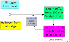 Conditions: 
i) a temperature of about 450°C
ii) a pressure of about 200 atm
iii) an iron catalyst