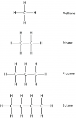 Pentane has 5 carbon and 12 hydrogen atoms.