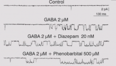 Barbiturates (phenobarbitals) increase duration of GABA induced channel activation

Benzodiapines increase frequency of GABA-induced channel openings.

Both increase GABAa receptor function